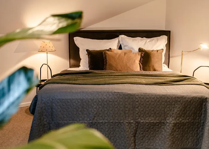 度假居 Hofzeit 1 梅谢尼希